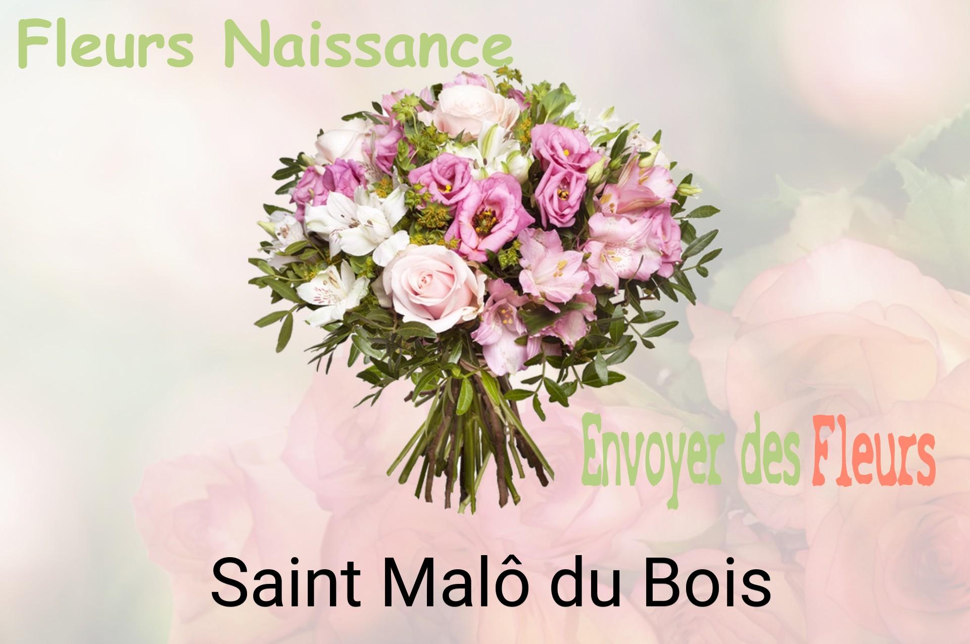Bouquet de fleurs de naissance livré à Saint-Malô-du-Bois